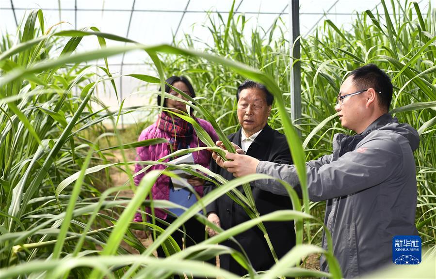 (新華全媒頭條·圖文互動(dòng))(4)習(xí)近平的山海情