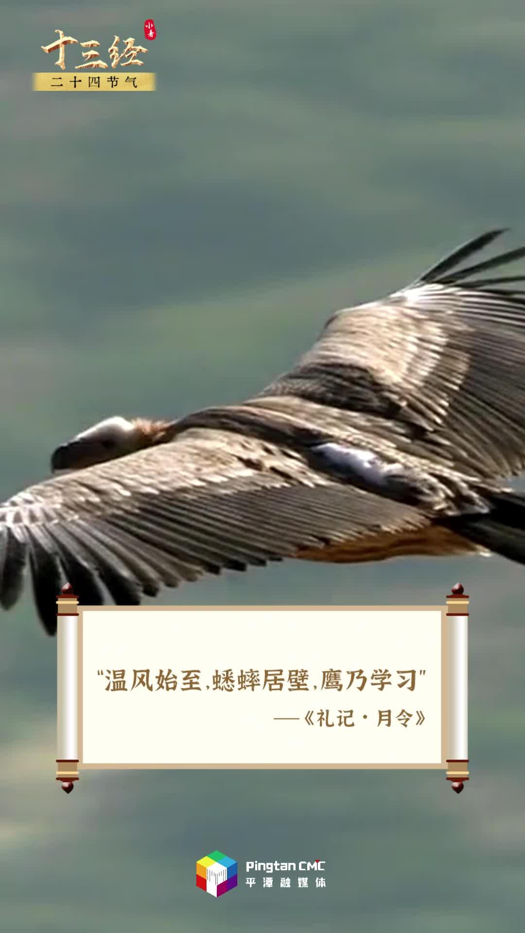 人生亦如盛夏，勇敢奔赴山海吧！