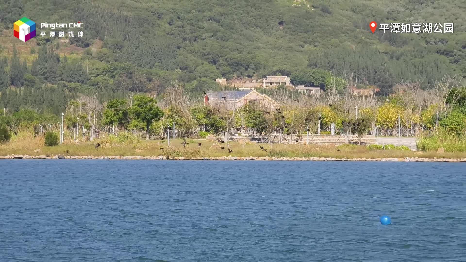 風(fēng)起嵐島，羽翼如詩！