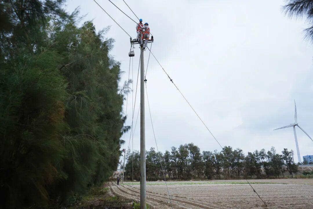 年末攻堅 | 配網線路綜合檢修 備戰迎峰度冬供電可靠